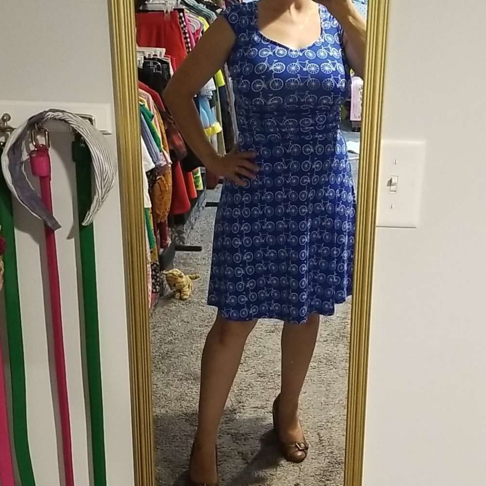 Retrolicios Blue Bicycle Dress!